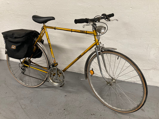 DBS - 28" - 12 speed