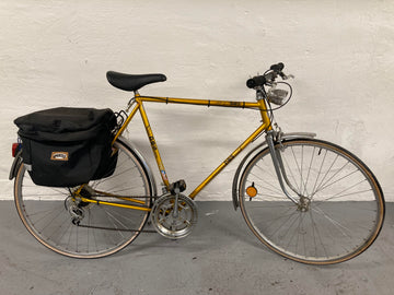 DBS - 28" - 12 speed