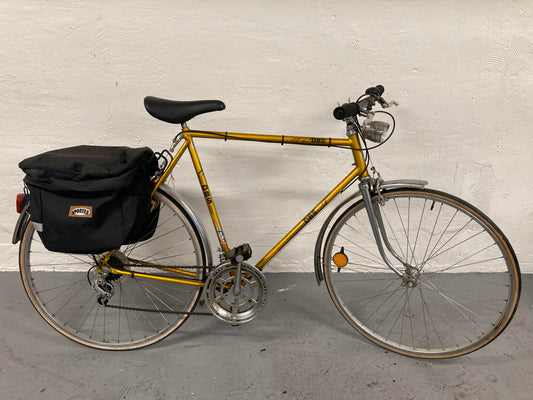 DBS - 28" - 12 speed